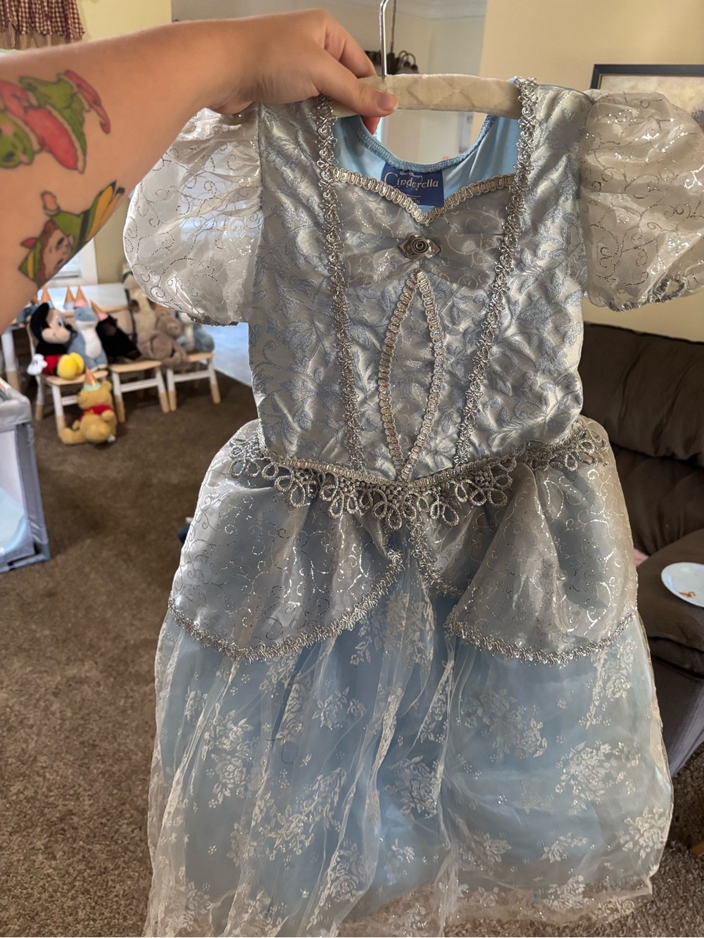 Disney Cinderella costume